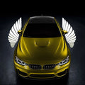 Car Side View Mirror Angle Wing Welcome Led  Light